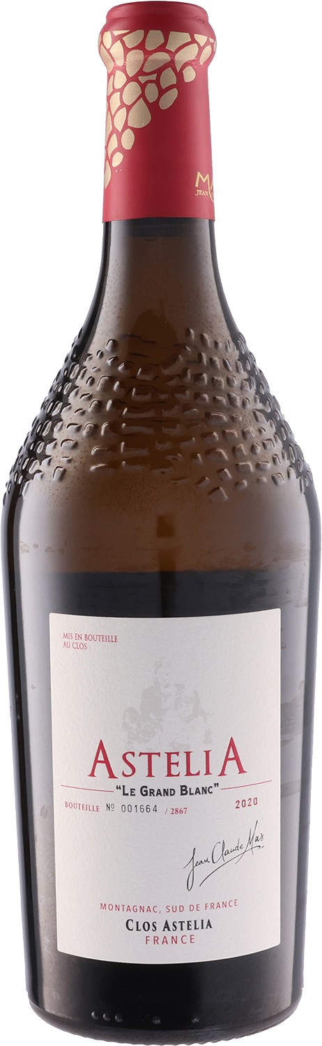 Astelia Le Grand Blanc