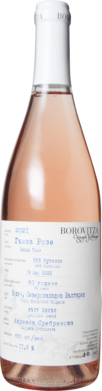 Limited Series Gamza Rose