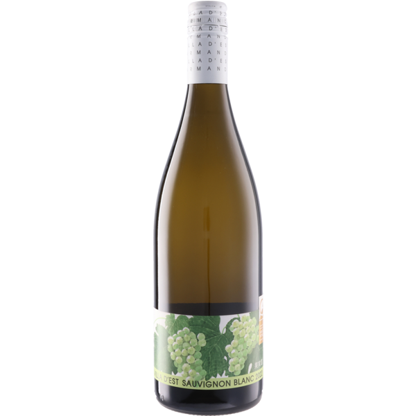 Sauvignon Blanc