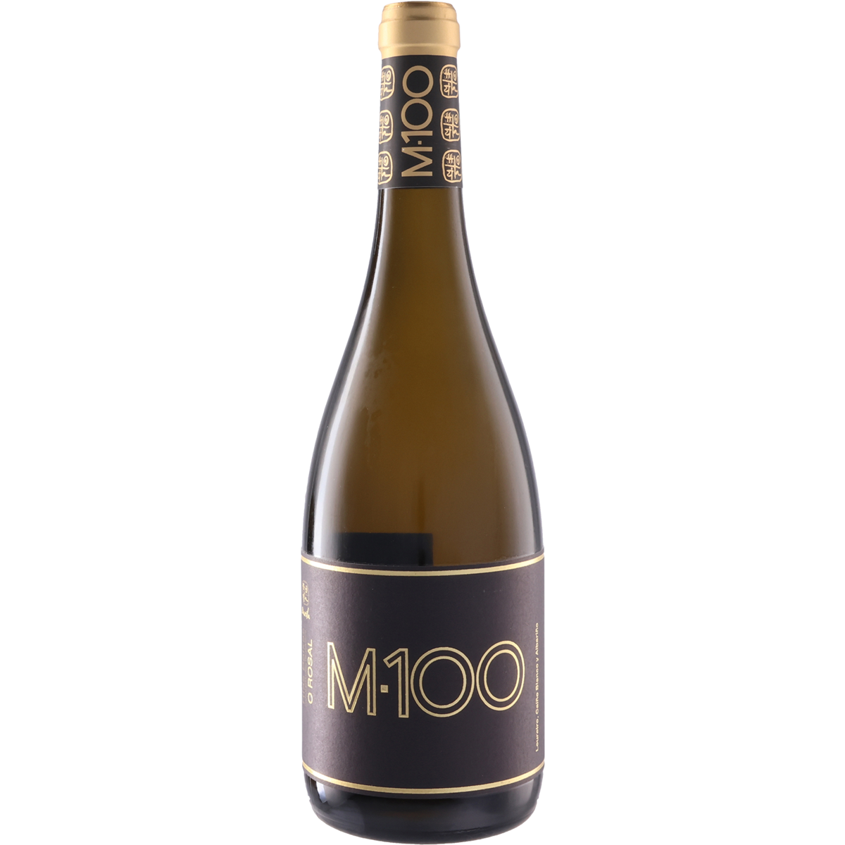 M-100