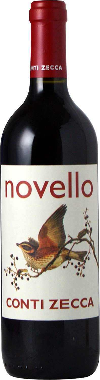 Novello Salento Per Via Aerea