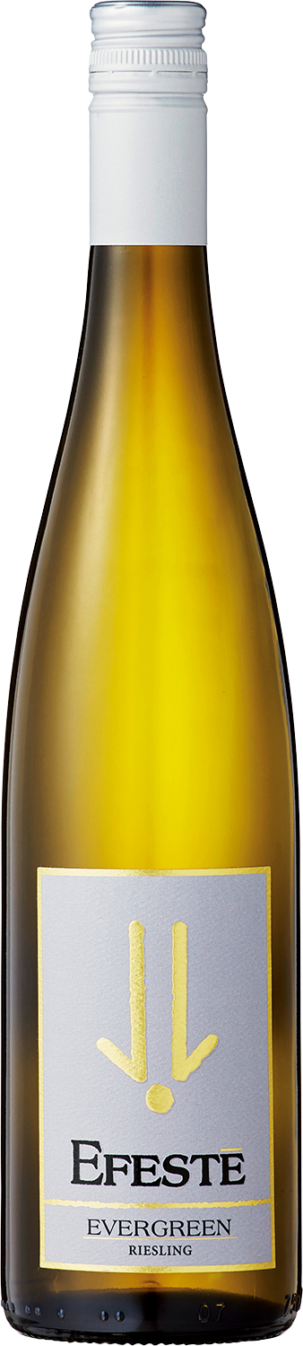 Evergreen Riesling