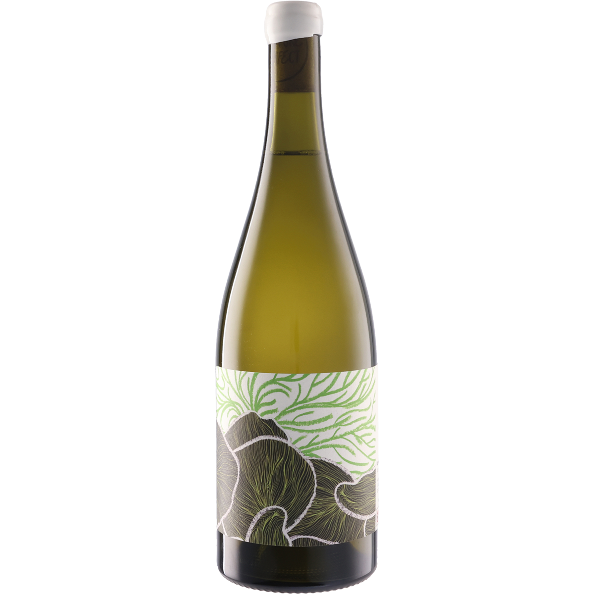 Future Perfect Chardonnay