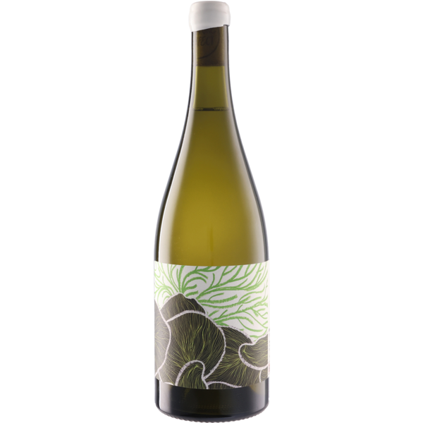 Future Perfect Chardonnay