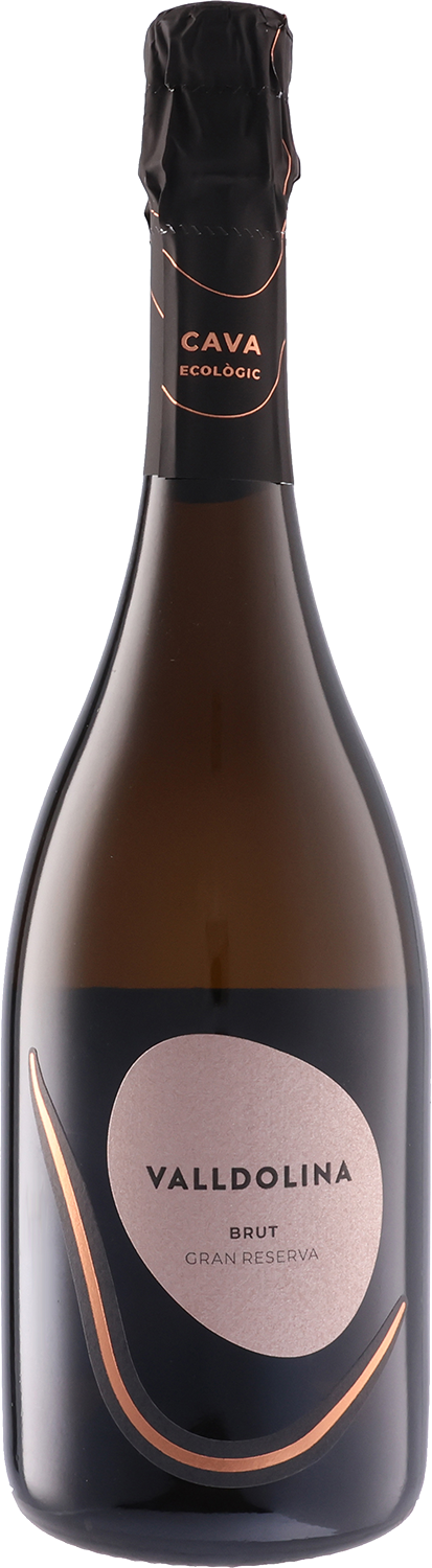 Valldolina Cava Brut Gran Reserva