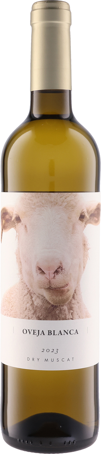 Oveja Blanca