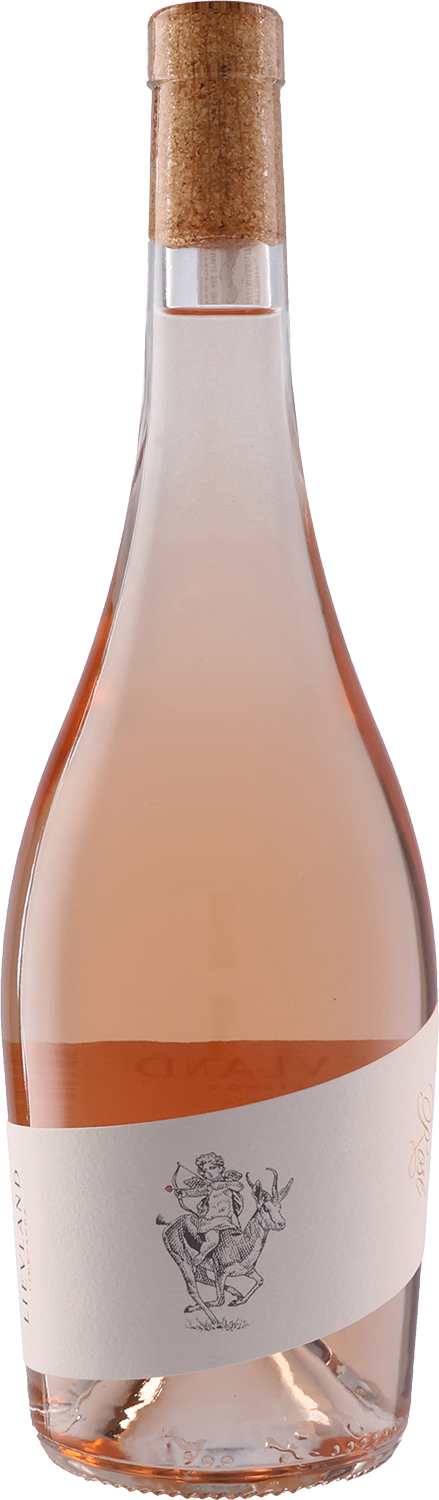 Lievland Rose