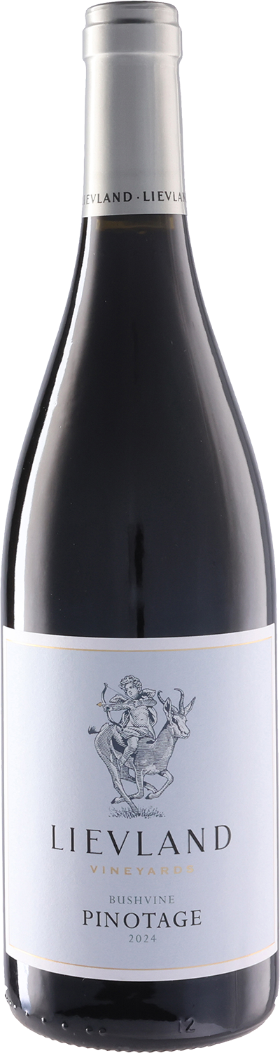 Lievland Bush Vine Pinotage