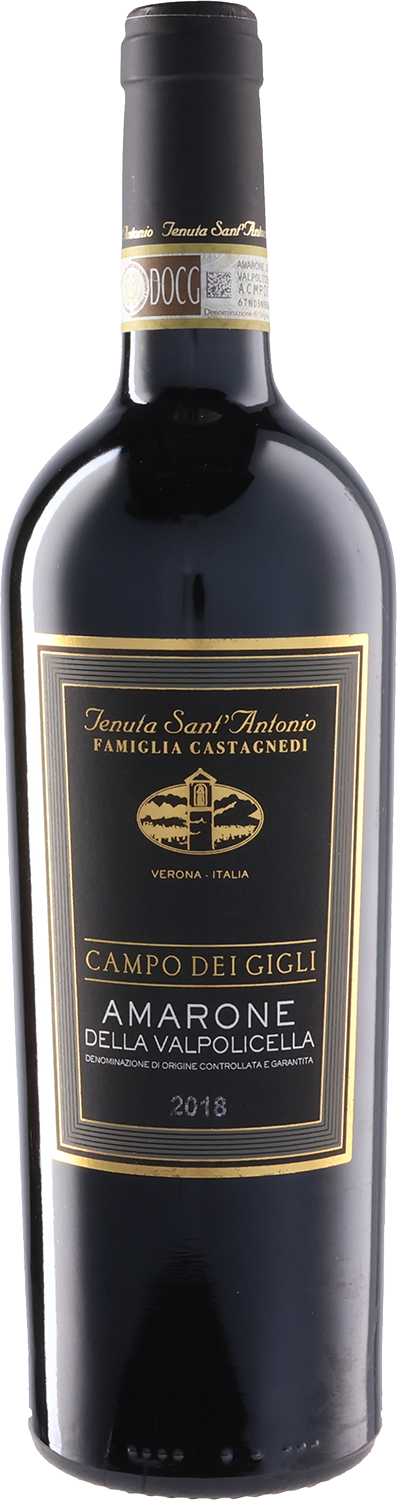 Campo dei Gigli Amarone della Valpolicella