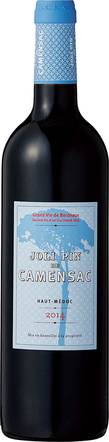 Joli Pin de Camensac