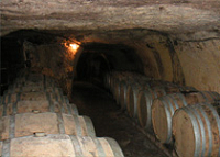 Domaine des Guyons