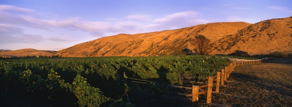 Tinpot Hut Wines