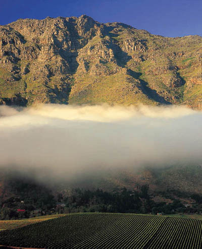 Stark-Conde Wines