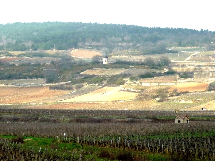 Domaine Borgeot