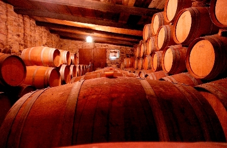Azienda Agricola 'Podere La Cappella'