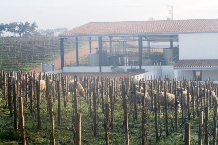 Casa Relvas