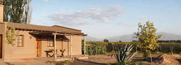 Alpamanta Estate Wines