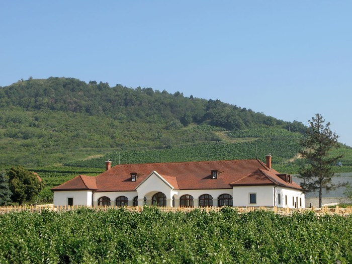 Patricius