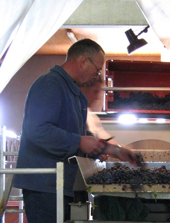 振動式の選果台