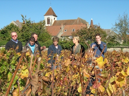 畑とアミオ・ファミリー