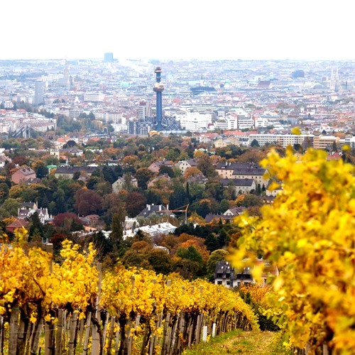 Weingut Mayer am Pfarrplatz