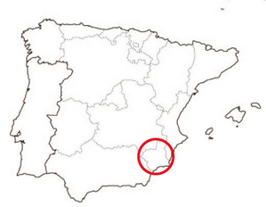 スペイン南東部、レバンテ地方のイエクラD.O.