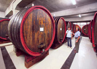Casa Vinicola Nicolello