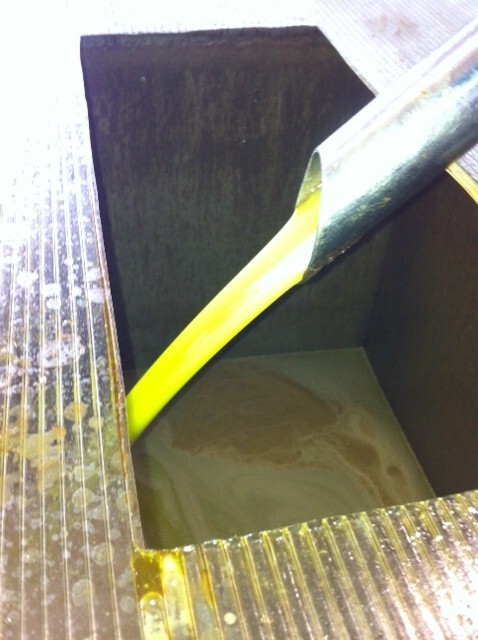 搾油されたオリーブオイル