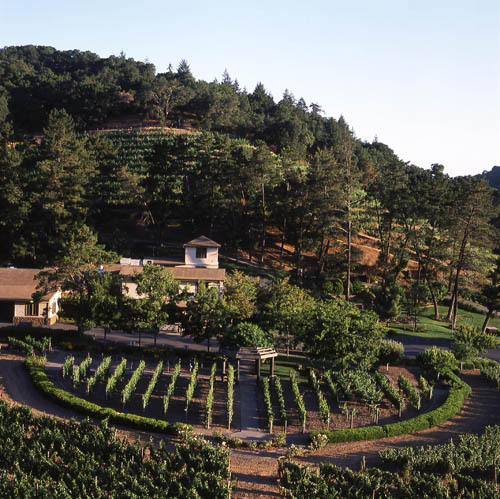 Pine Ridge Vineyards