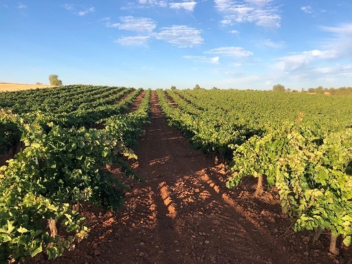 Bodegas Eguren