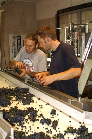 Domaine A. Chopin et Fils