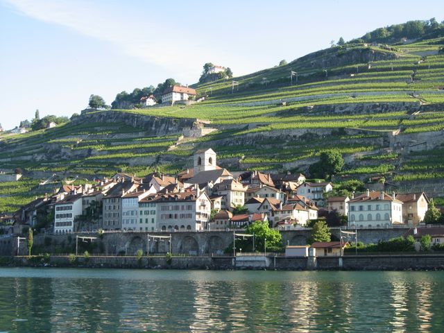 Domaine Pierre Luc Leyvraz Sarl