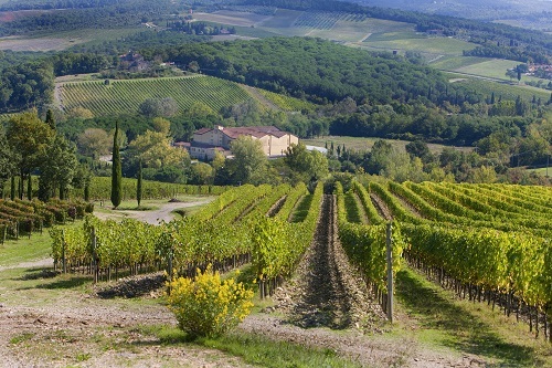 Castelli del Grevepesa SCA