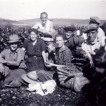 Domaine Marchand-Grillot