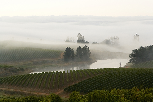 Richard Kershaw Wines