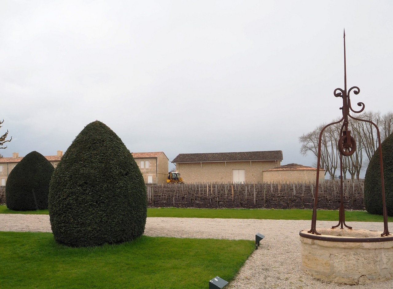 シャトーのそばには実験的に様々なブドウ品種が植えられている