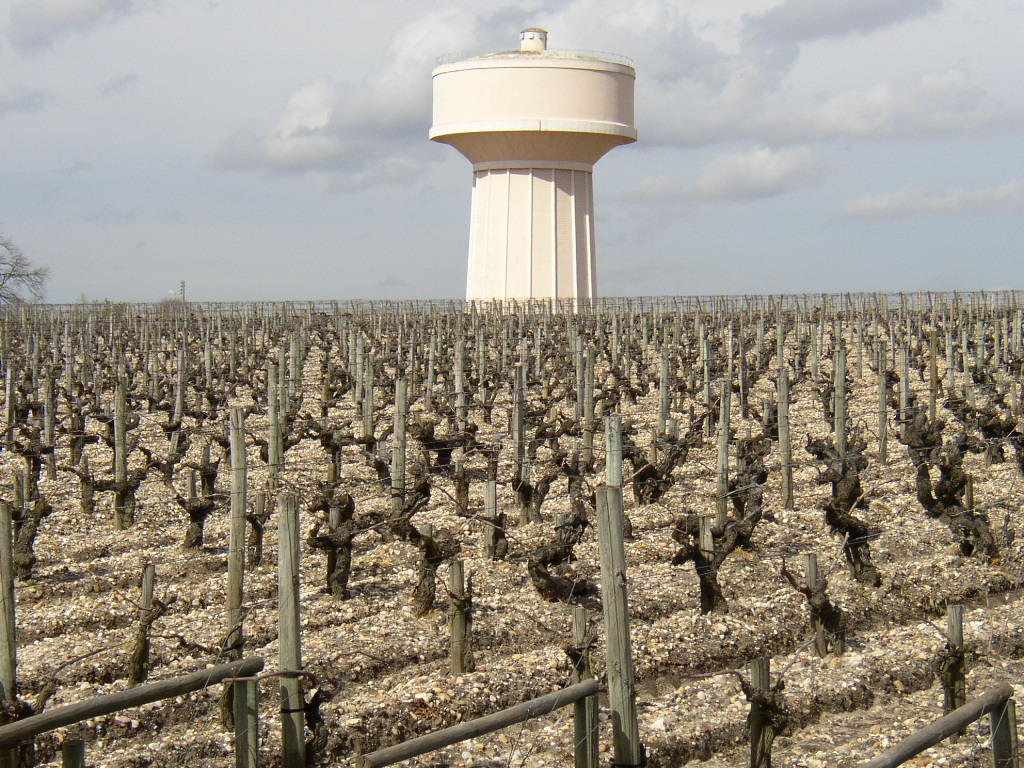 546種もの木を栽培、研究