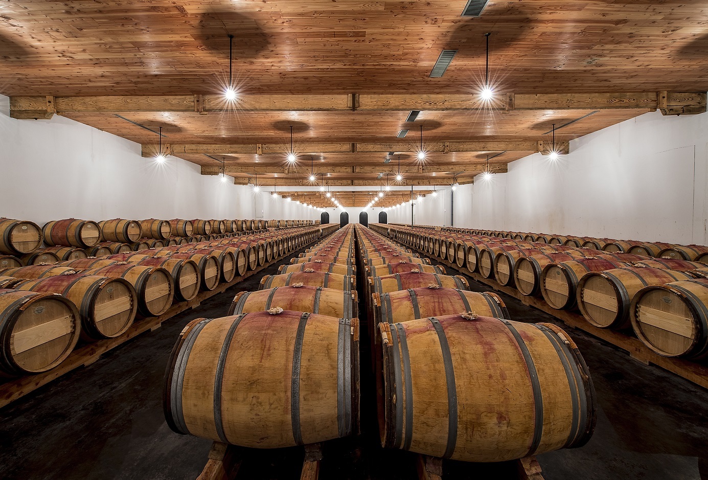 2003年に一新されたセラー