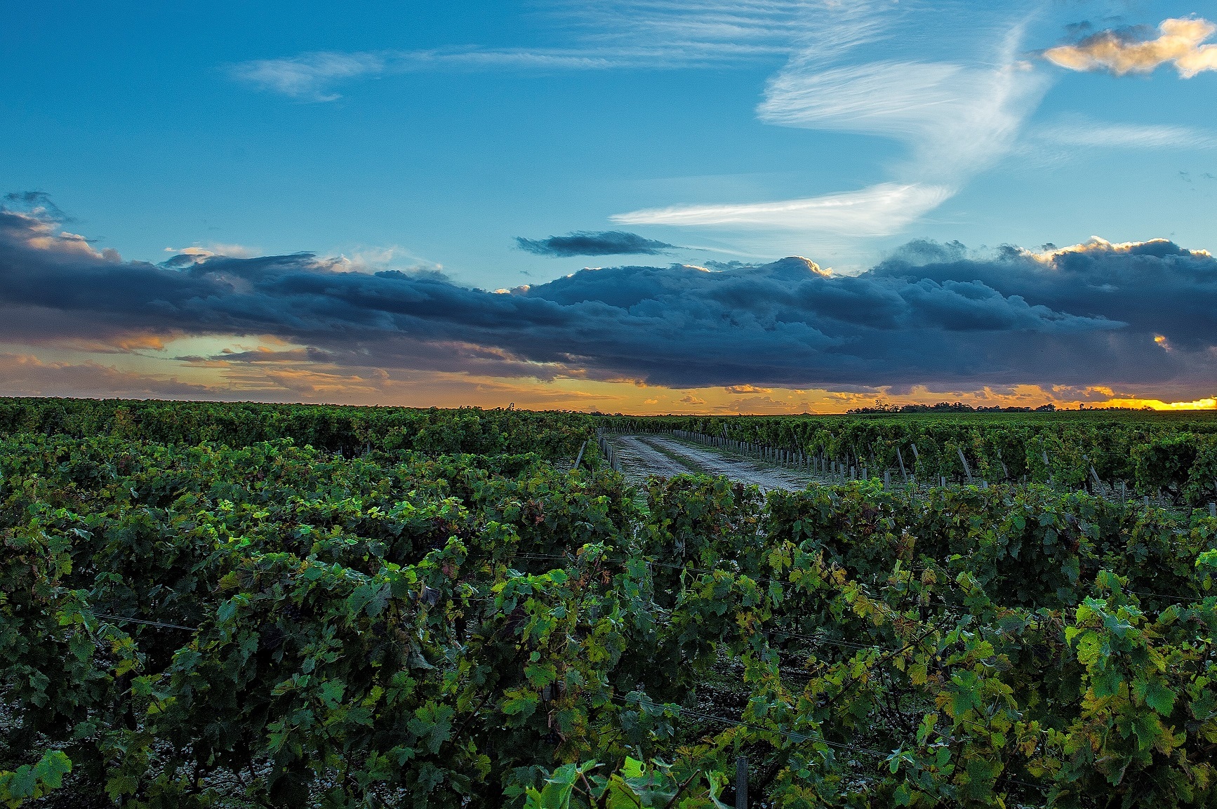 Chateau Duhart Milon Rothschild