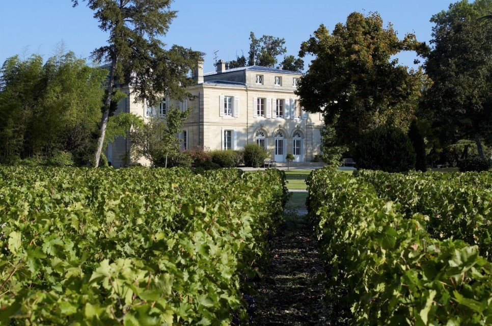 Chateau Belgrave