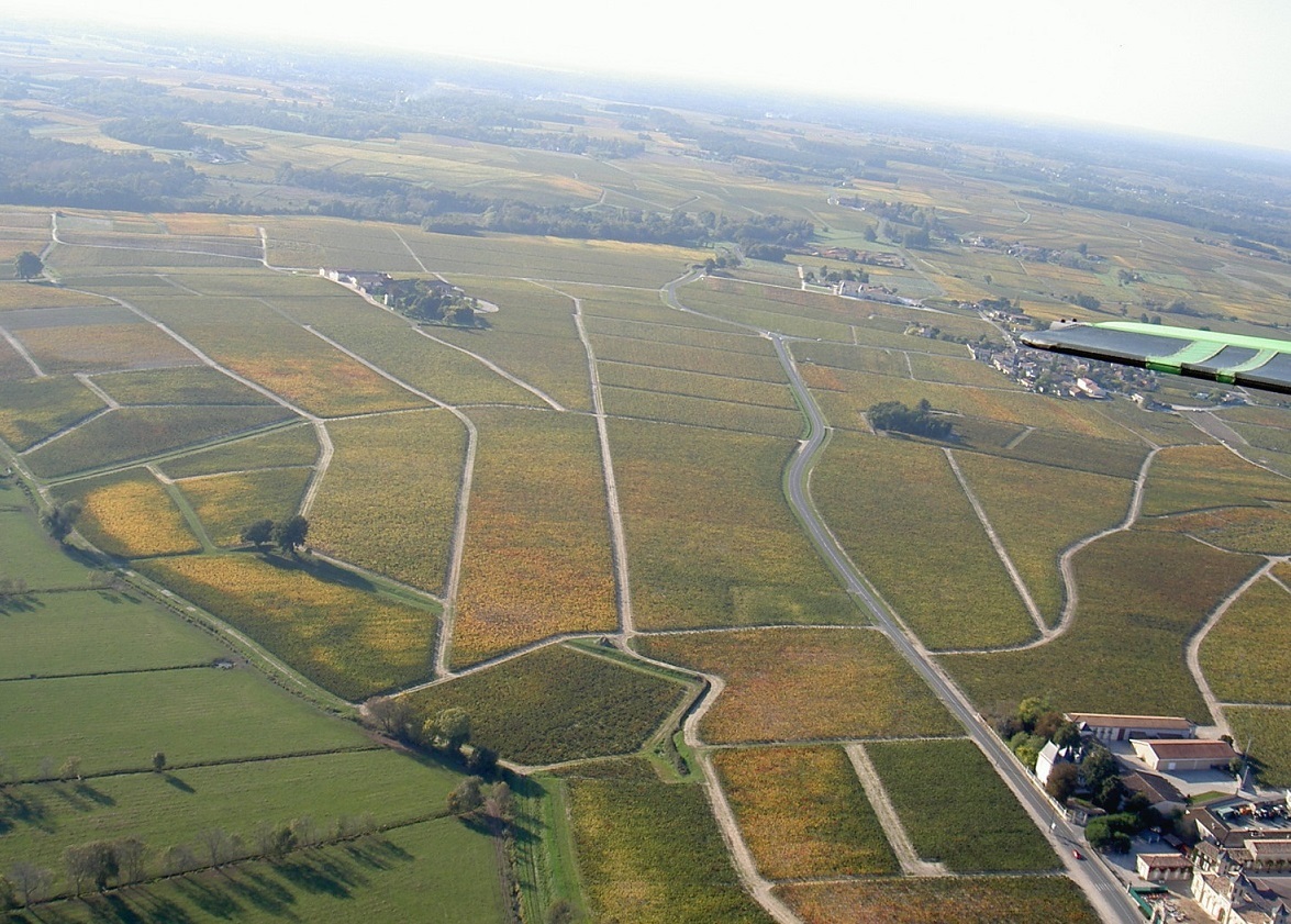 空からシャトーの畑を望む（※右下がシャトーの建物）