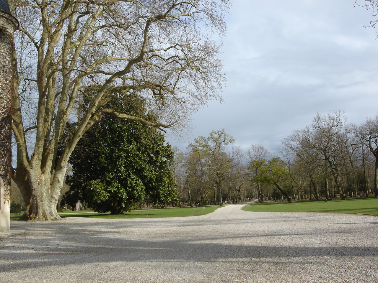 広大なシャトーの庭に並木道が通る