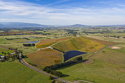 Denton View Hill Vineyard