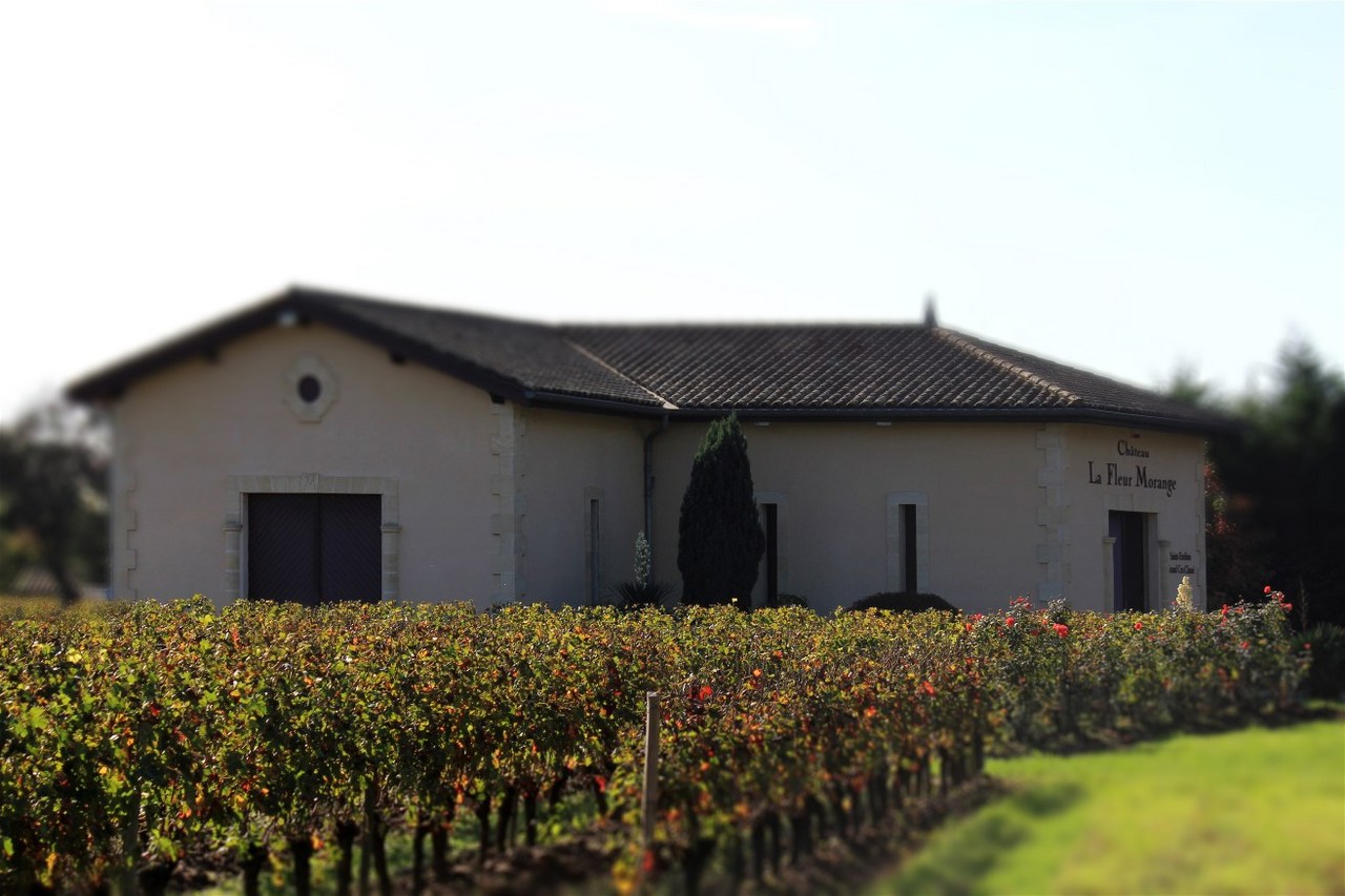 Chateau La Fleur Morange