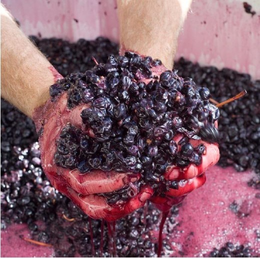 Schwarz Wine Company Pty Ltd