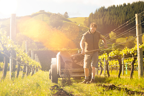 Greenhough Vineyard