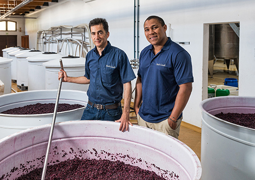 Kara-Tara Wines