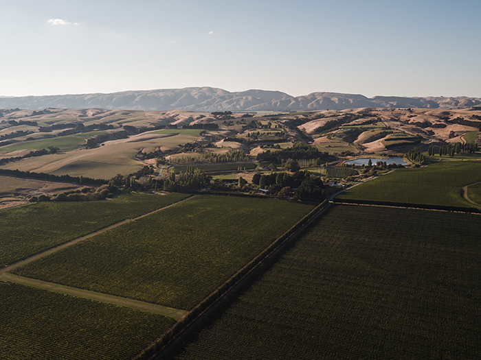 Te Kairanga
