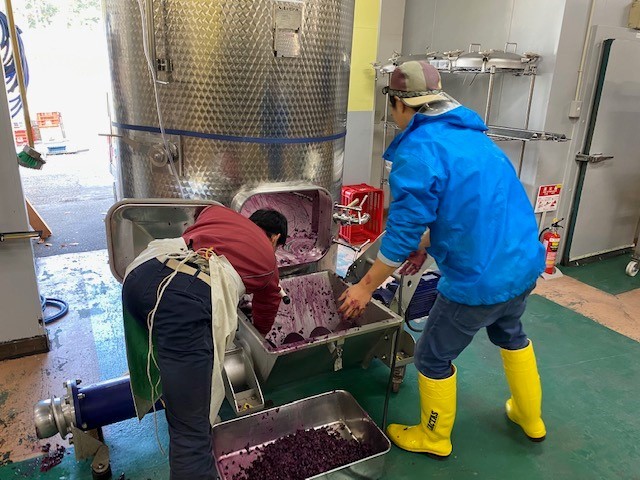 Azumino Winery