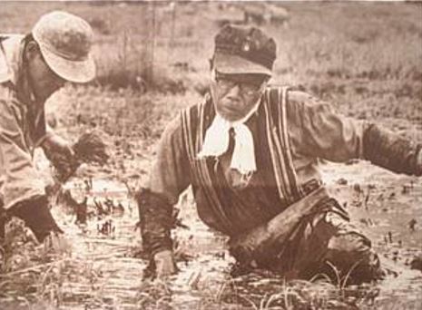 腰まで浸かりながら田植えをする農家（昭和初期）